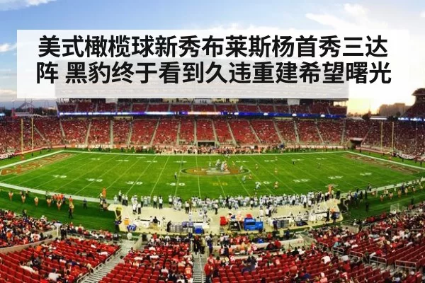 American football stadium crowd